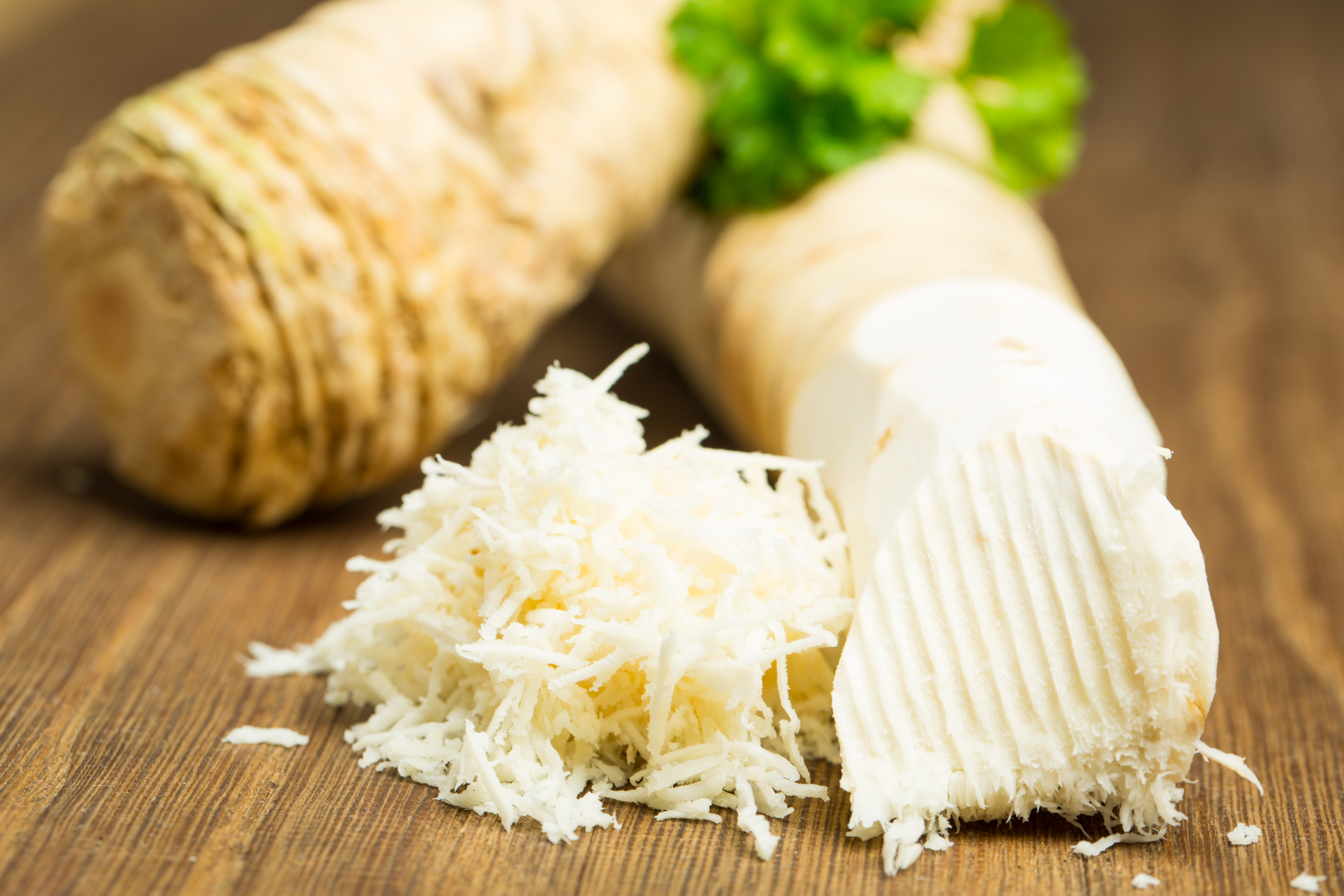 Horseradish Wikipedia