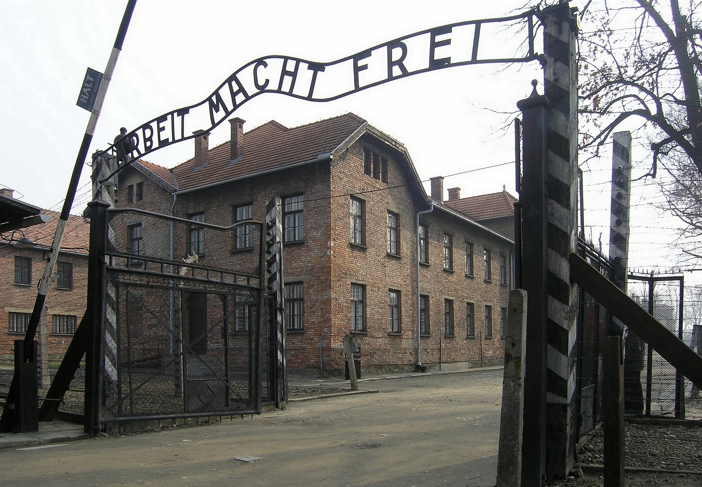Podobny obraz
