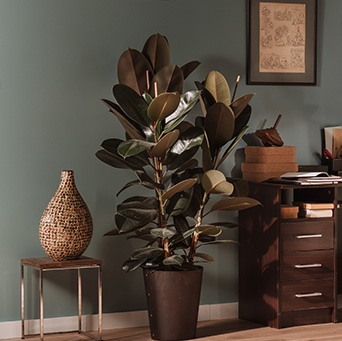 Naturalne uzupełnienie